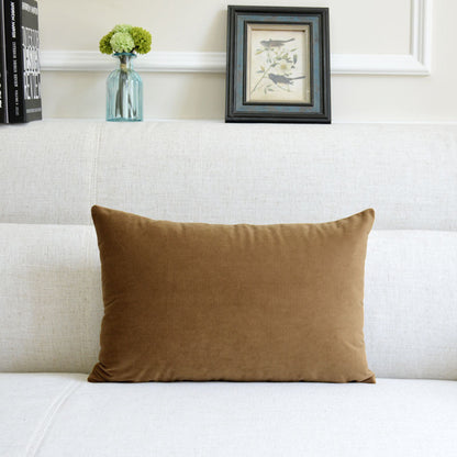 Velvet Throw Pillow for Sofa Decor