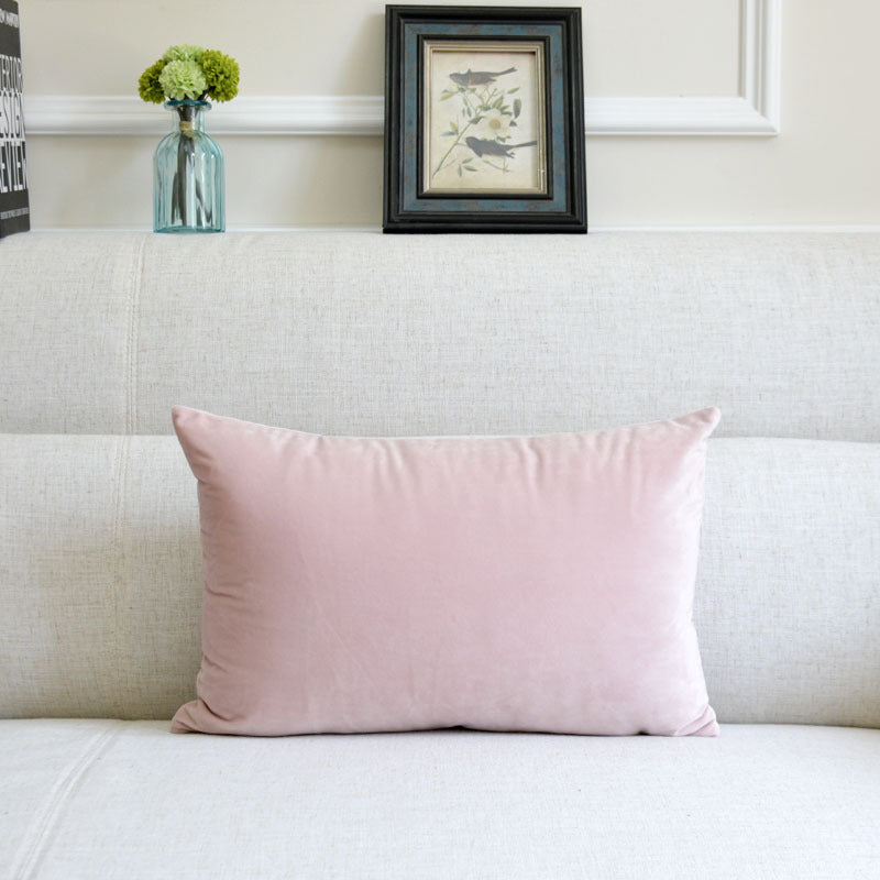 Velvet Throw Pillow for Sofa Decor