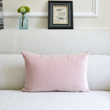 Velvet Throw Pillow for Sofa Decor