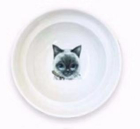 Ergonomic Cat Dining Stand