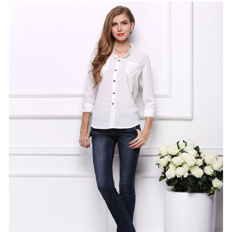 Casual Women's Long Sleeve Chiffon Blouse