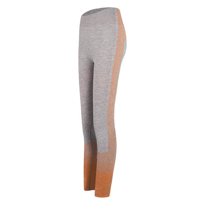 Seamless Striped Knitted Yoga Pants for Fitness
